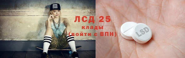дживик Краснослободск