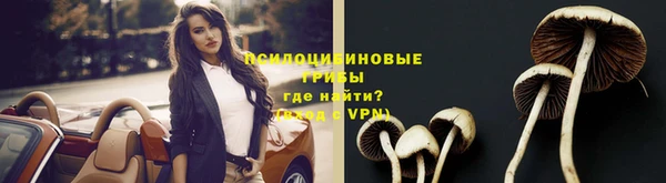 a pvp Козловка