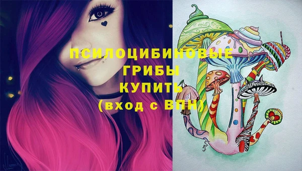 дживик Краснослободск