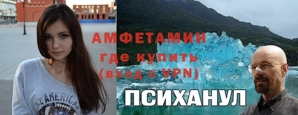 дживик Краснослободск