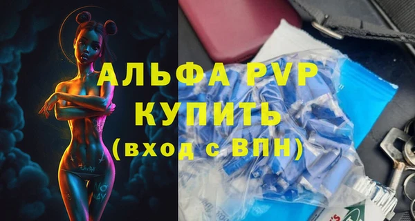 дживик Краснослободск