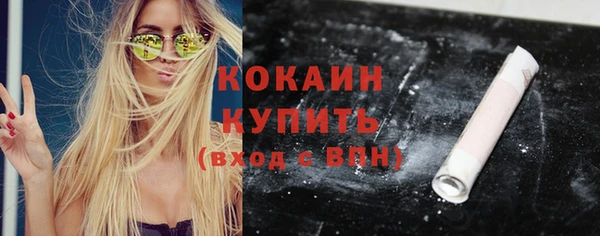 дживик Краснослободск