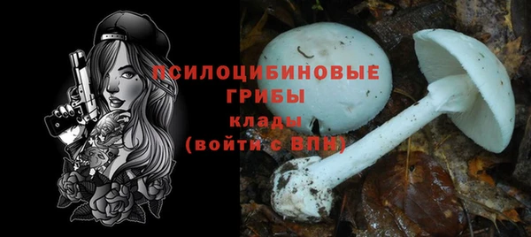 дживик Краснослободск